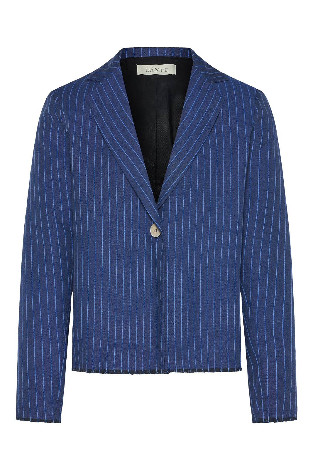 Symbol Blazer Striped Blue