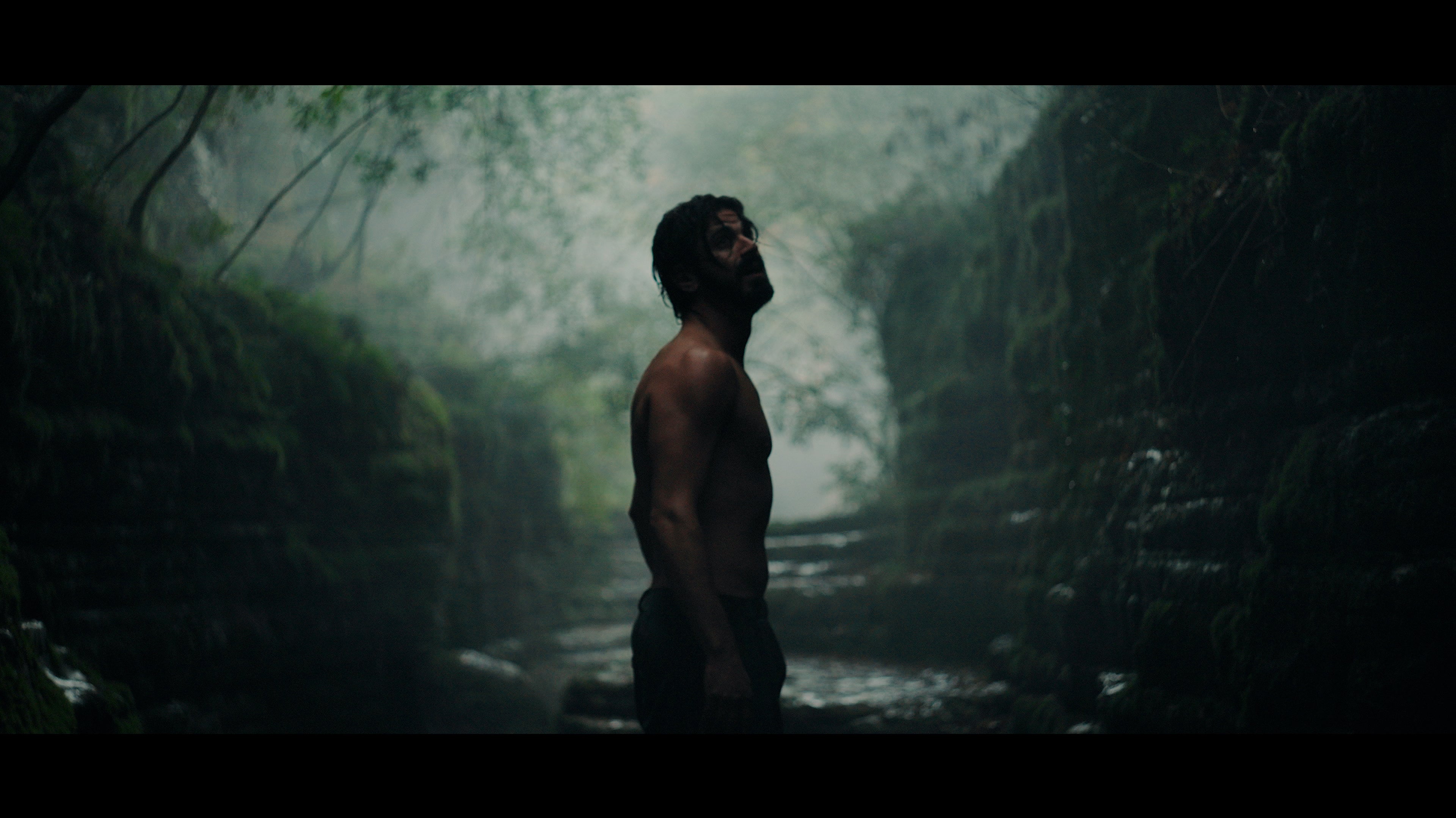 DANTE film still — the misted canyon