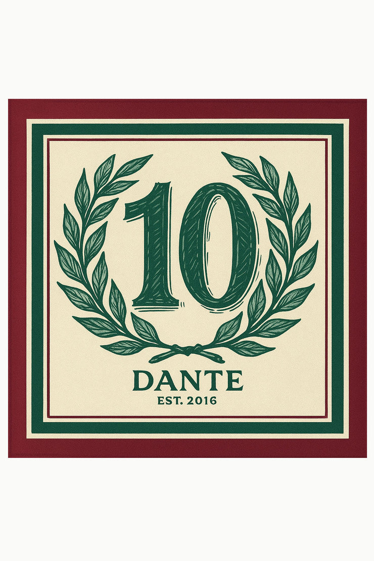 10 Years Scarf Retro